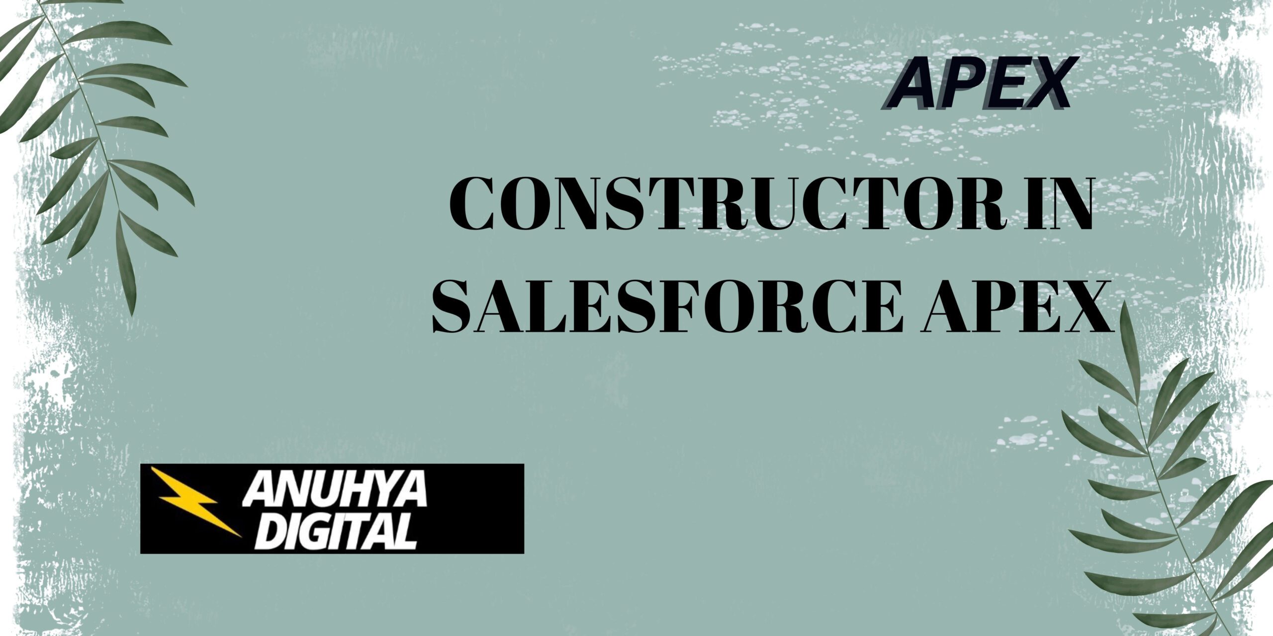 Constructors in Salesforce Apex