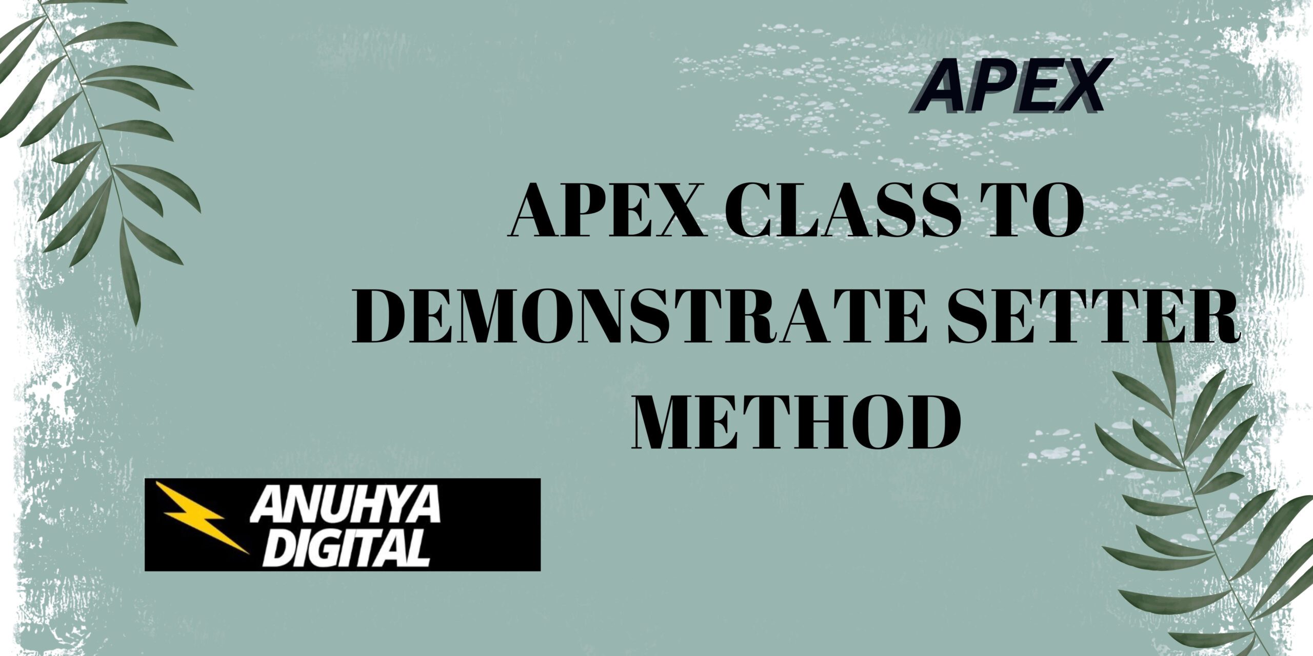 Apex Class to Demonstrate Setter Method