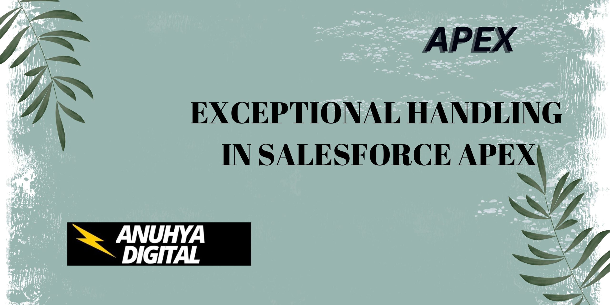 Exceptional Handling in Salesforce Apex