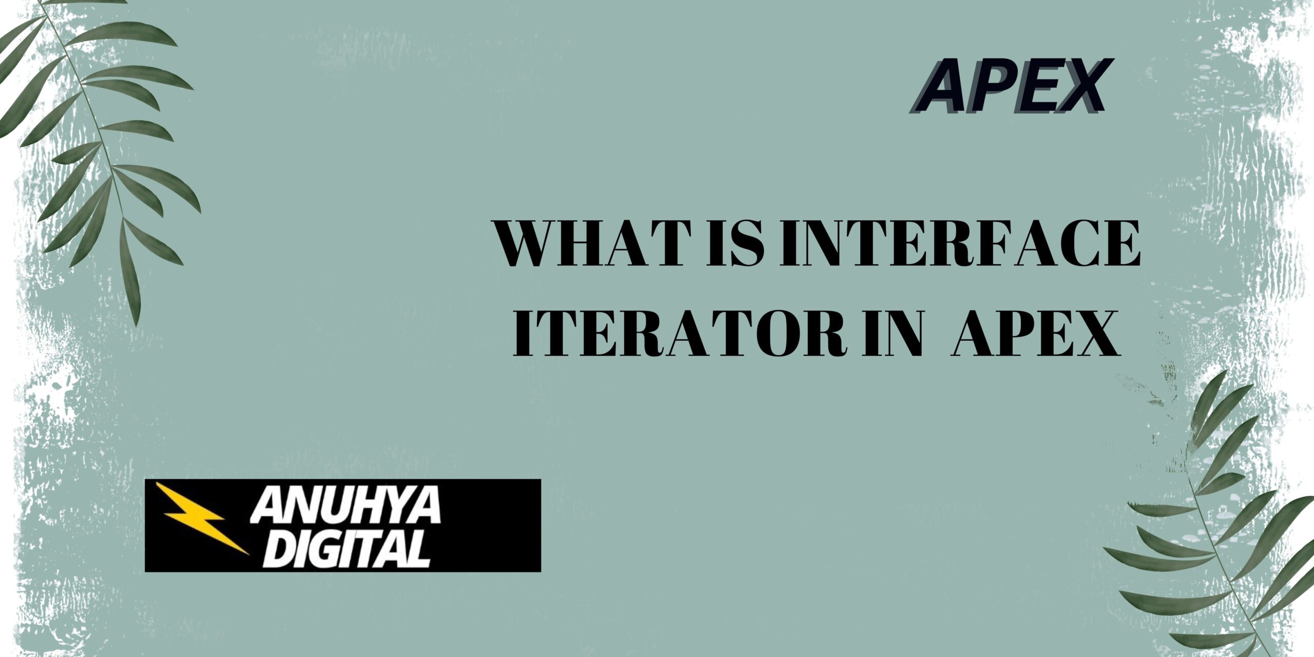 What is Interface Iterator in Apex