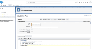 Usage of Apex Program with in VF Page