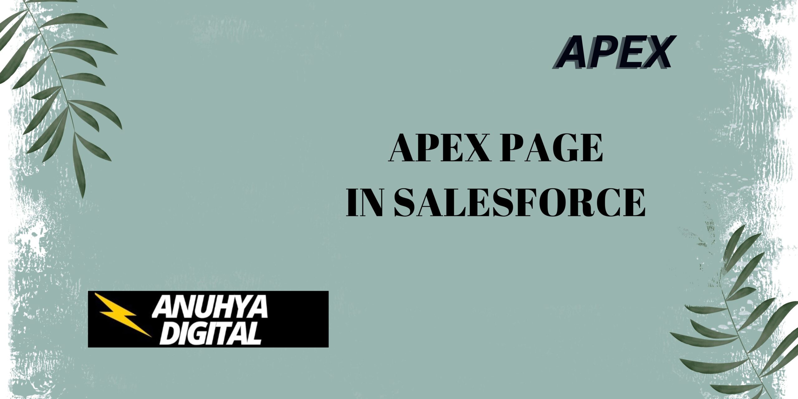 Apex Page in Salesforce