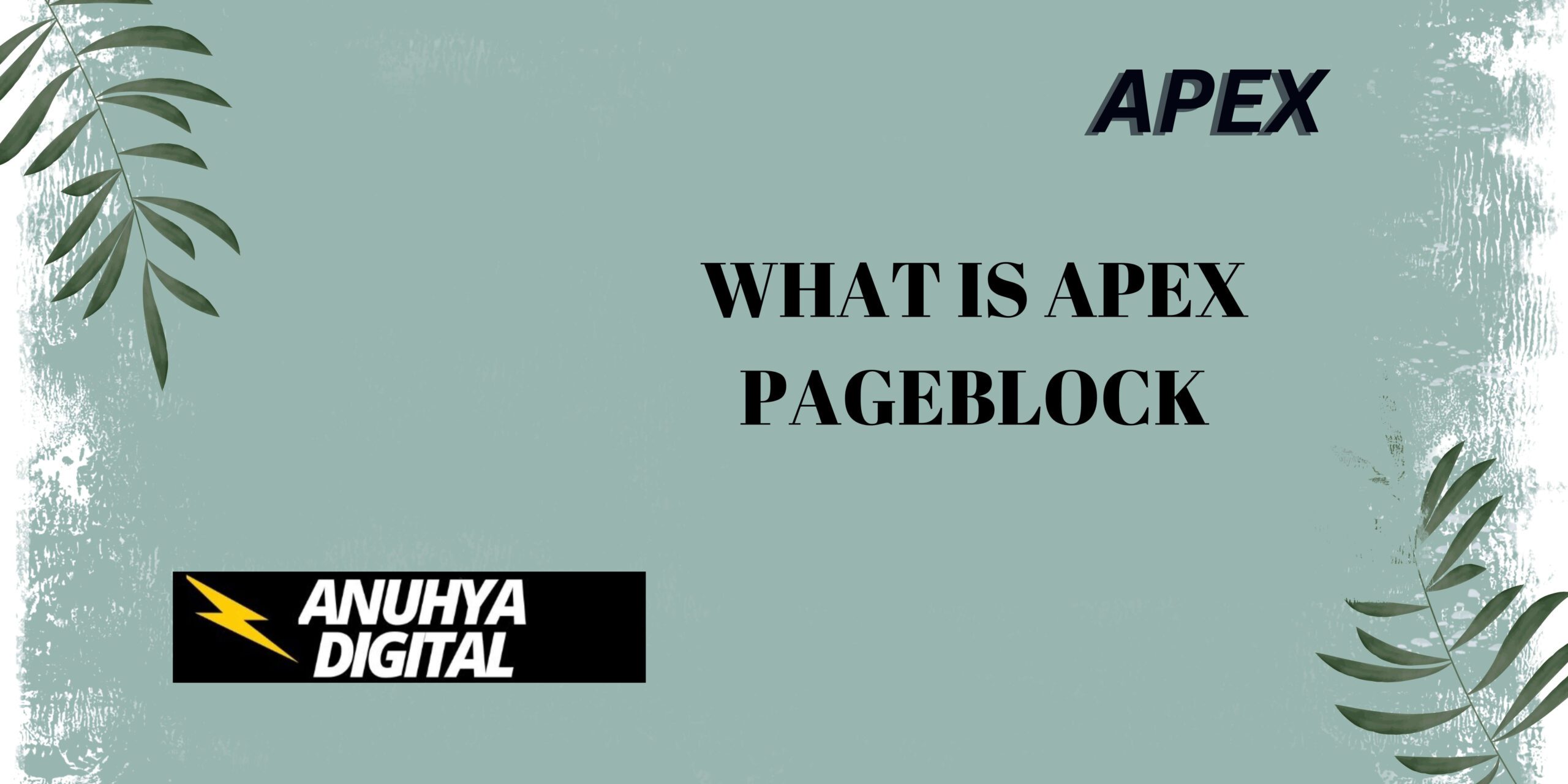 What is Apex PageBlock