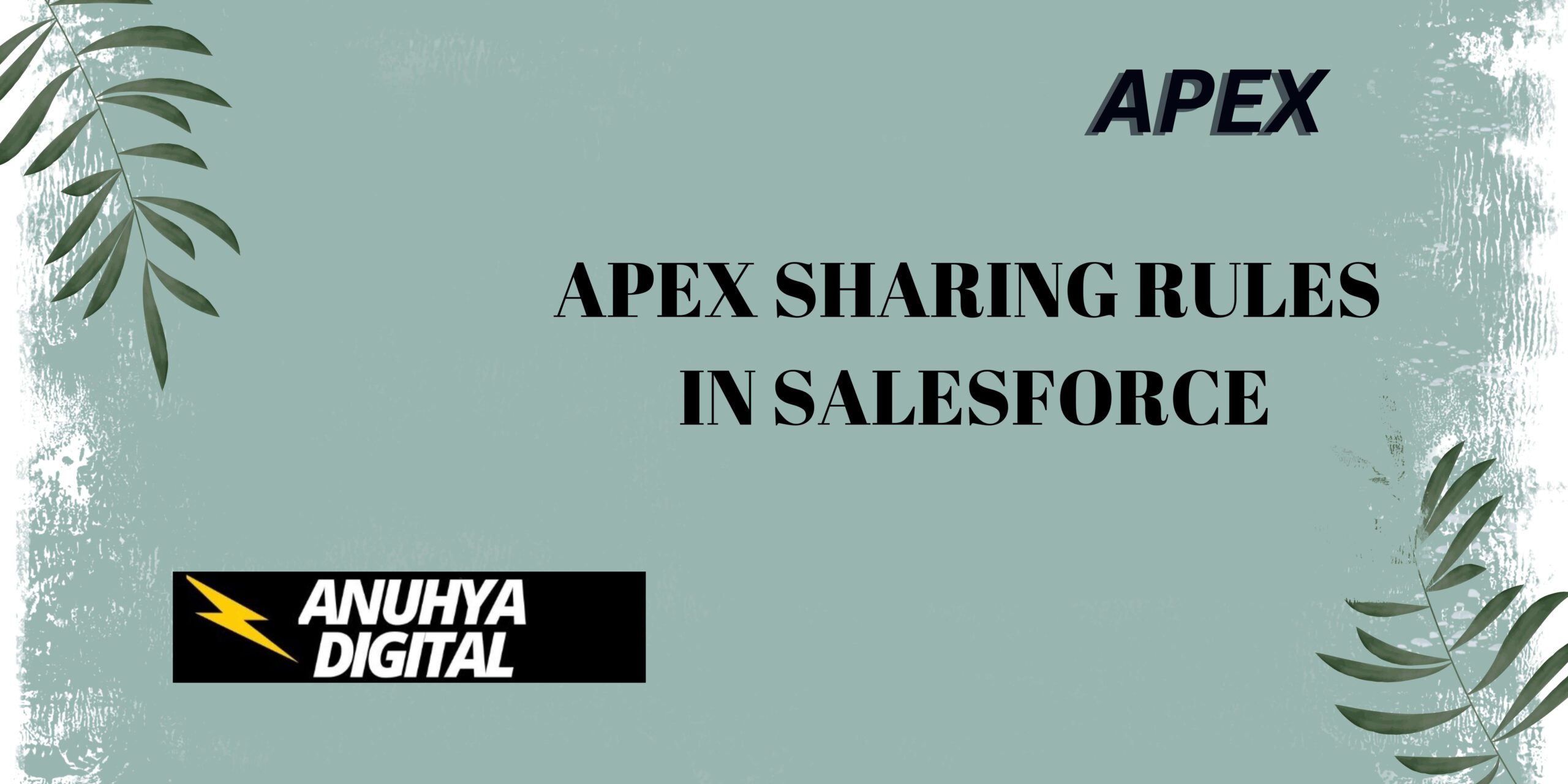 Apex Sharing Rules in Salesforce