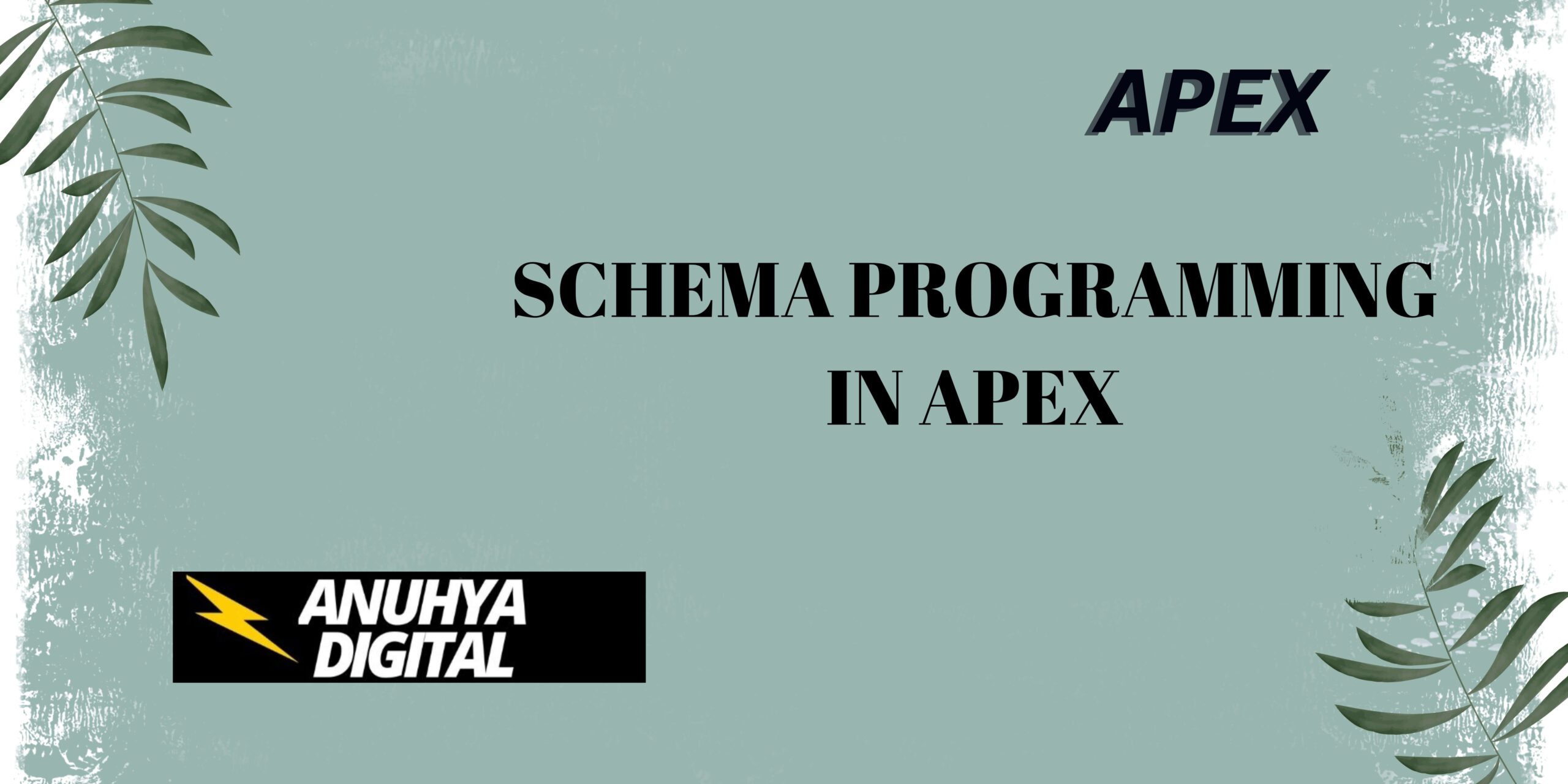 Schema Programming in Apex