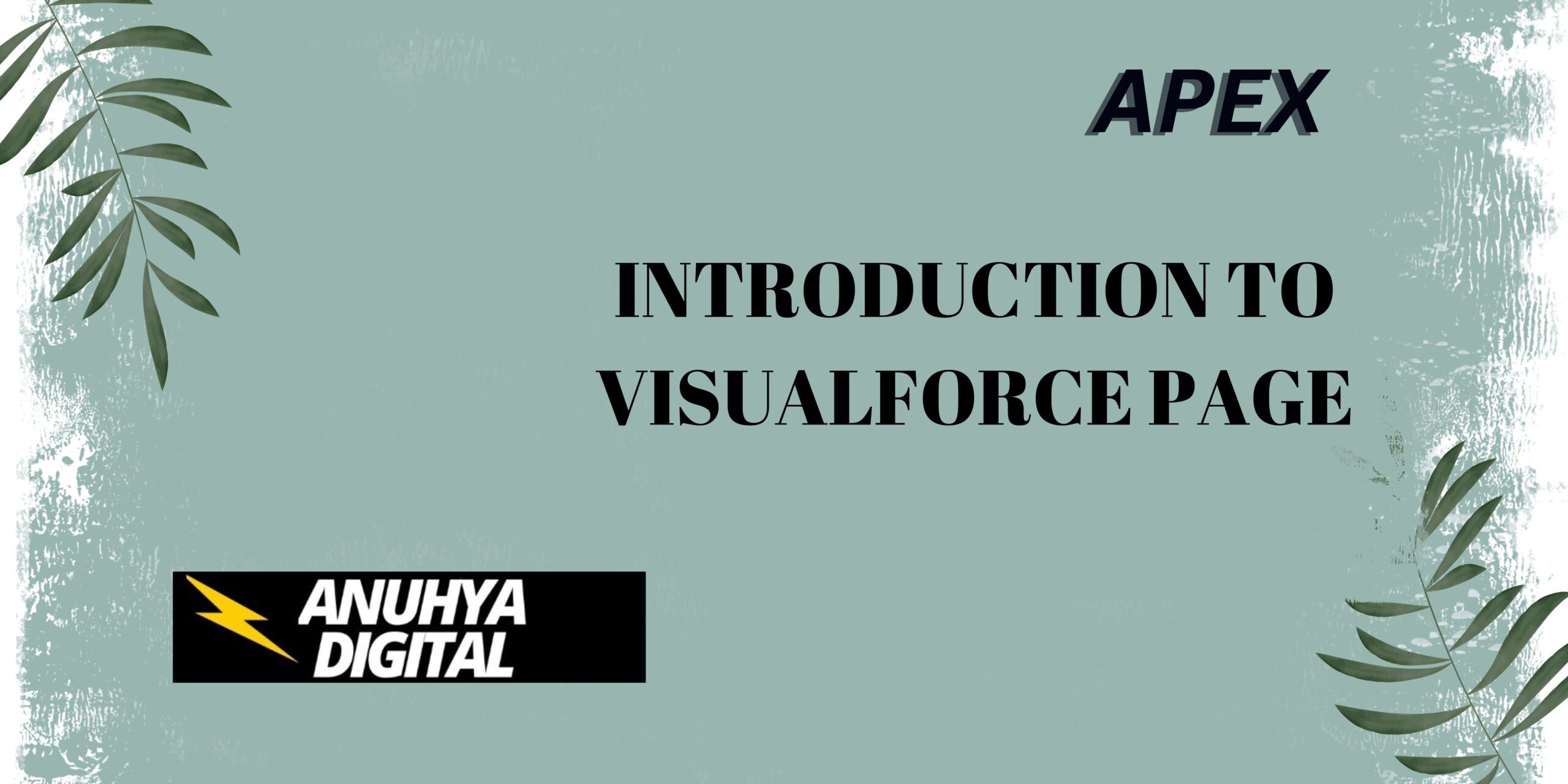 Introduction to Visualforce page