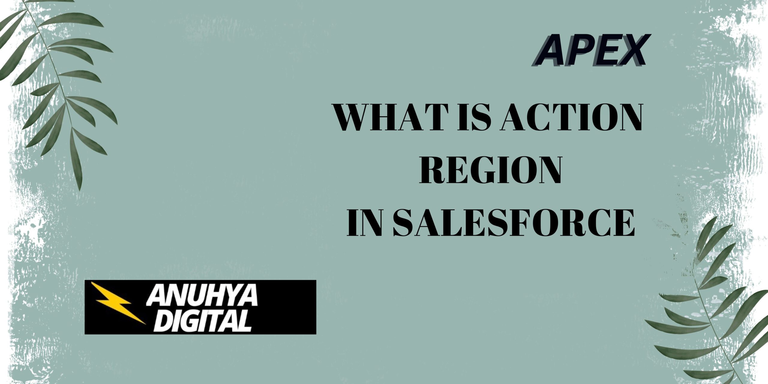 What is Action Region in Salesforce