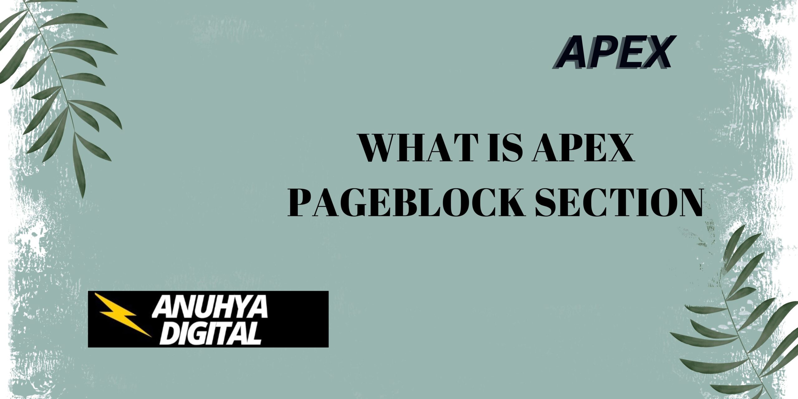 What is Apex PageBlock Section