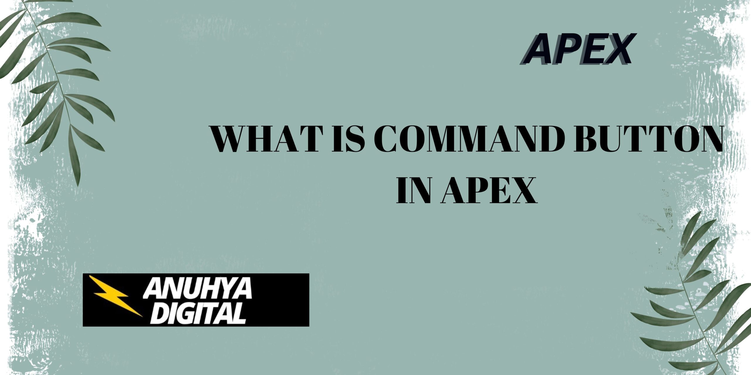 What is Command Button in Apex