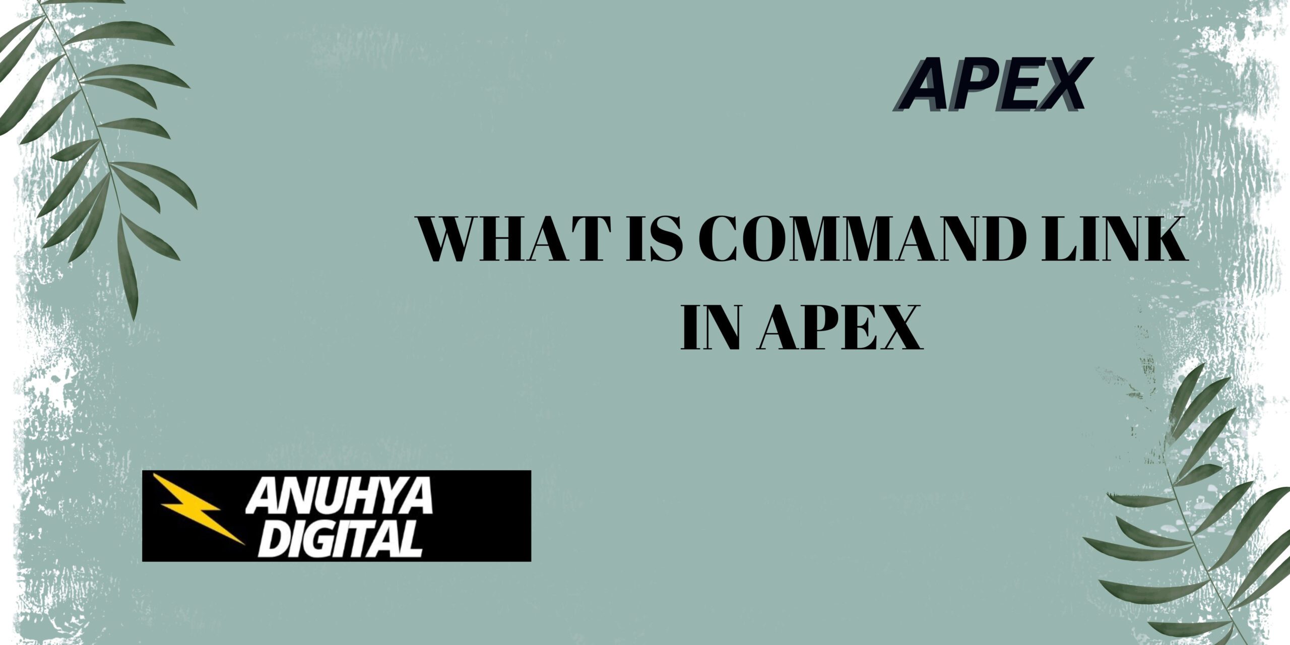 What is Command Link in Apex