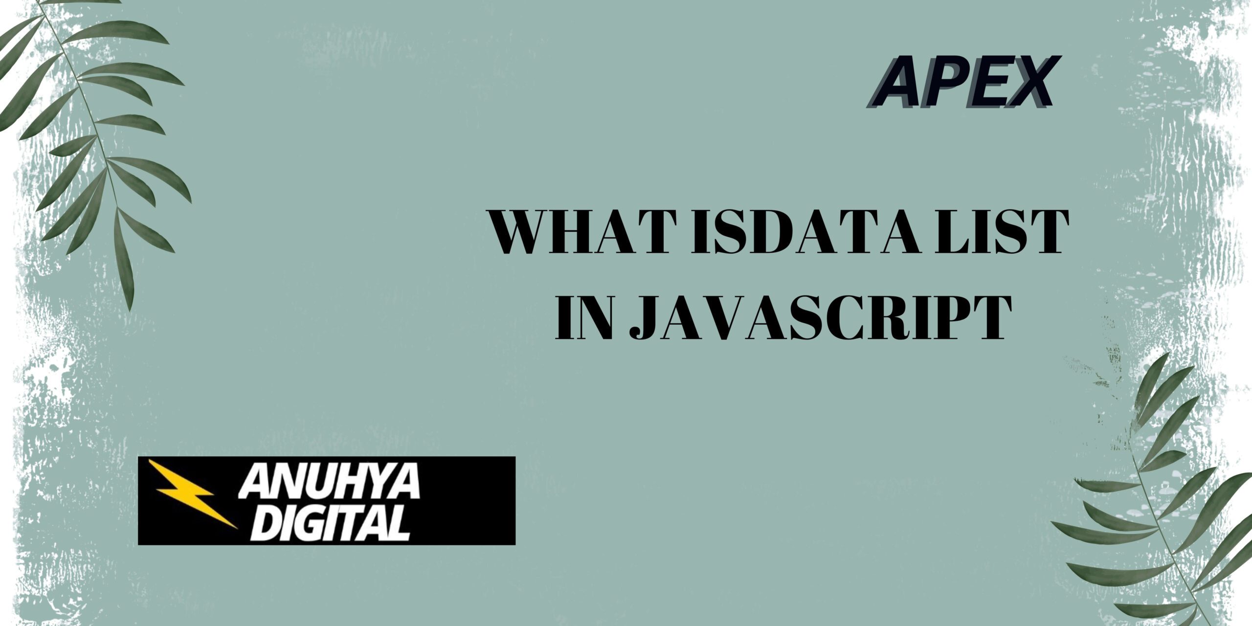 What is Data List in Java Script