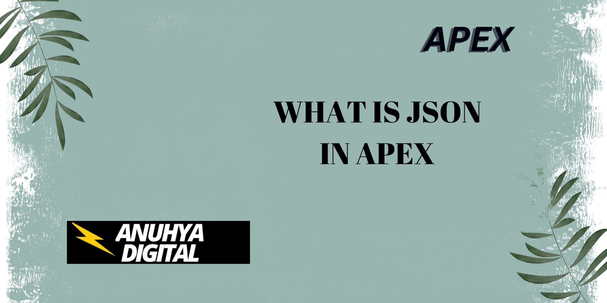 What is JSON in Apex