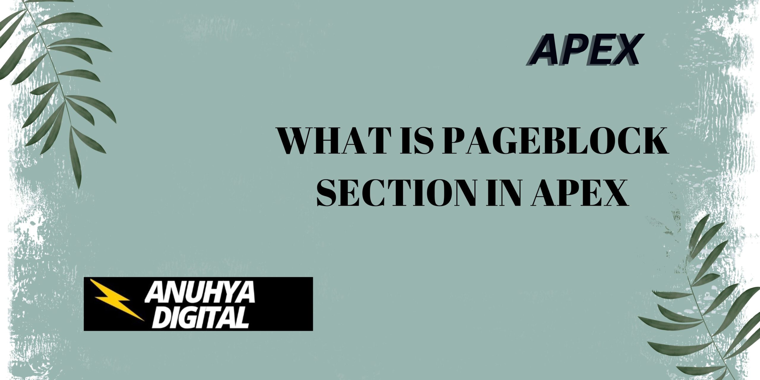 What is PageBlock Section Item in Apex