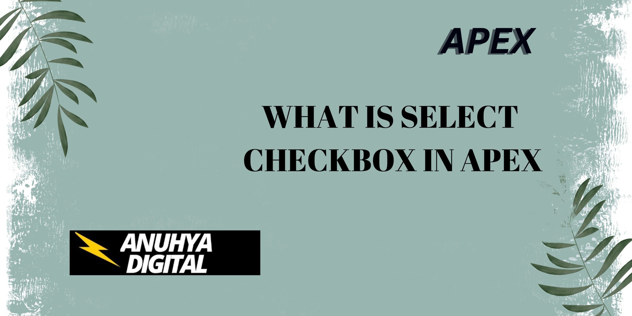 What is Select CheckBox in Apex